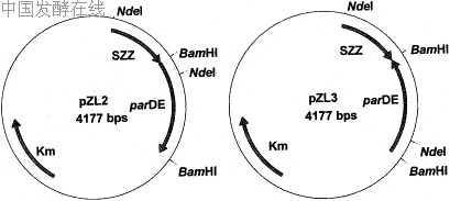 52-1.gif (5674 bytes)