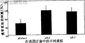 52-4.gif (3254 bytes)