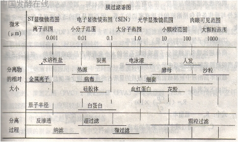 Ĥ������ͼ