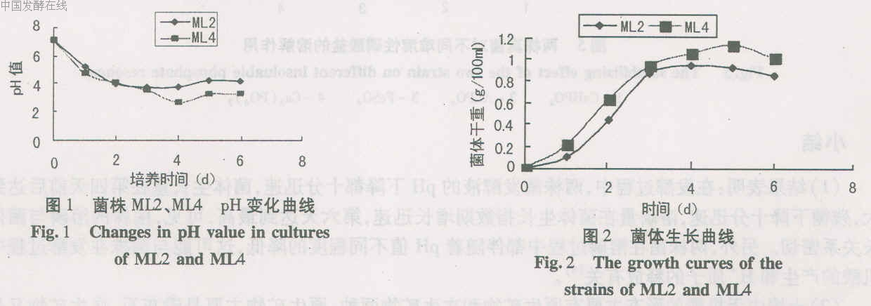 2005-09-05 (15).jpg (111794 bytes)