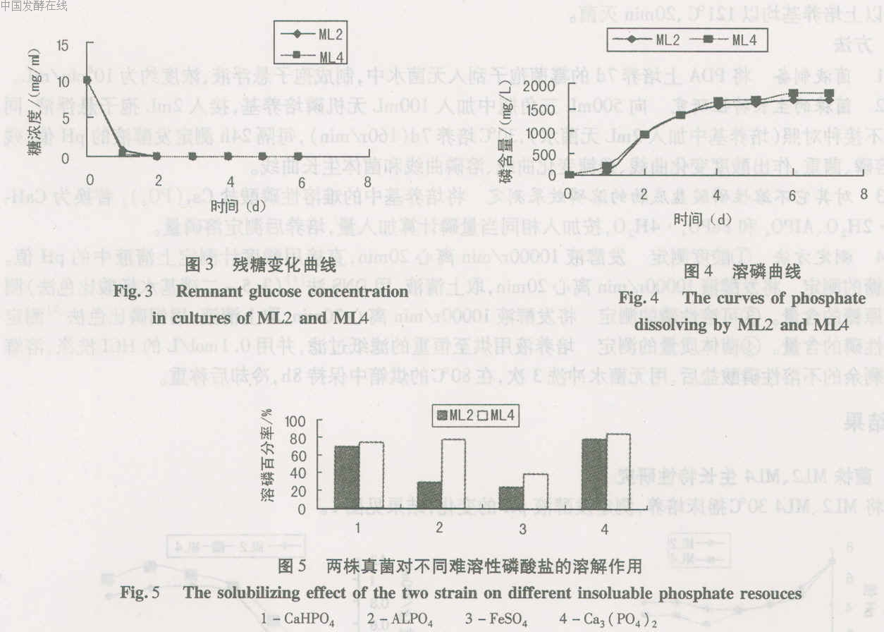 2005-09-05 (16).jpg (214447 bytes)