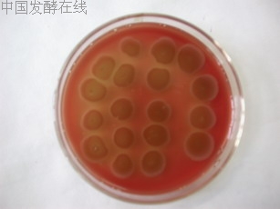 �鿴���ྫ��ͼƬ