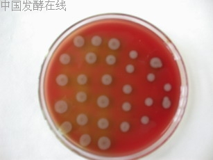 �鿴���ྫ��ͼƬ