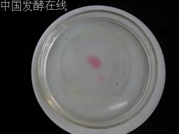 �鿴���ྫ��ͼƬ