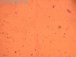 �鿴���ྫ��ͼƬ