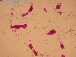 �鿴���ྫ��ͼƬ