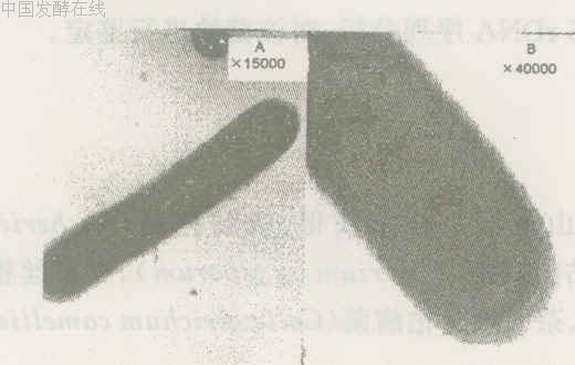 2006-07-20.jpg (48884 bytes)