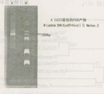 2006-07-20 (2).jpg (26130 bytes)