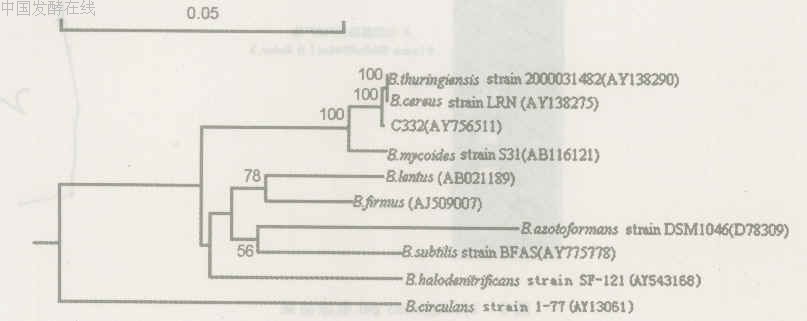 2006-07-20 (3).jpg (48482 bytes)