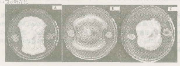 2006-07-20 (4).jpg (51985 bytes)