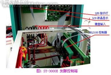 �ѹ�������