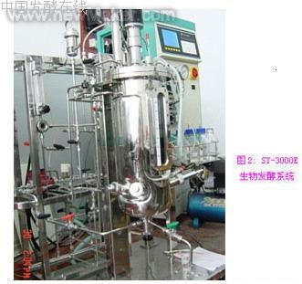 �ѹ�������